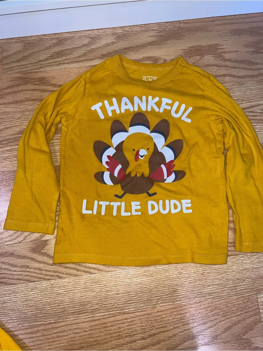 Thanksgiving Graphic Long-Sleeve Tees Bundle